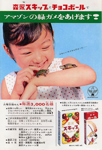 おまけのアマゾンの緑ガメ